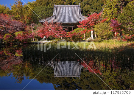 長岳寺の紅葉 117925709