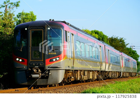 斜陽に照らさる2600系・4両編成 特急うずしお 斜陽に照らさる2600系・4両編成 特急うずしお 117925838