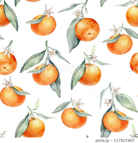 Seamless Pattern with Orange Fruit Branches, green leaves and white flower. Hand drawn watercolor illustration of citrus food for textile design. Print with tangerine on white isolated background. Seamless Pattern with Orange Fruit Branches, green leaves and white flower. Hand drawn watercolor illustration of citrus food for textile design. Print with tangerine on white isolated background. 117925907