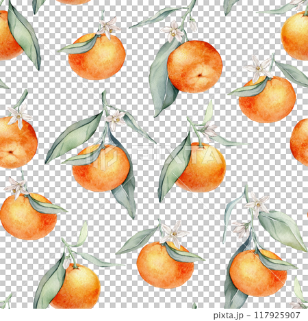 Seamless Pattern with Orange Fruit Branches, green leaves and white flower. Hand drawn watercolor illustration of citrus food for textile design. Print with tangerine on white isolated background. Seamless Pattern with Orange Fruit Branches, green leaves and white flower. Hand drawn watercolor illustration of citrus food for textile design. Print with tangerine on white isolated background. 117925907