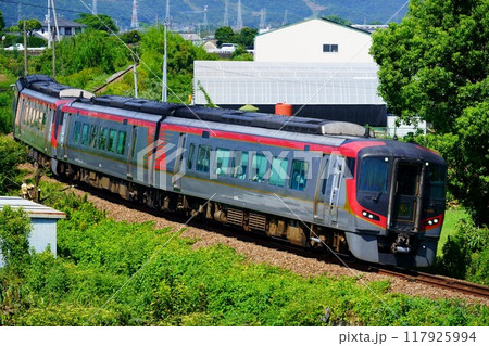 勝瑞跨線橋を通過する特急うずしお2600系4両編成 117925994