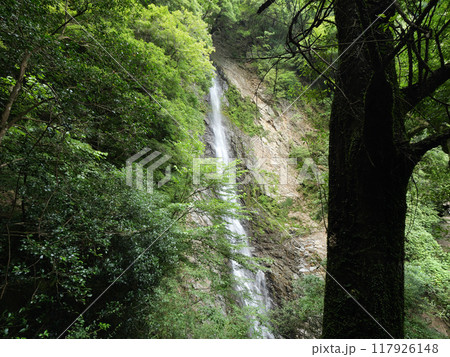 静岡県　藤枝市　宇嶺の滝　8月 117926148