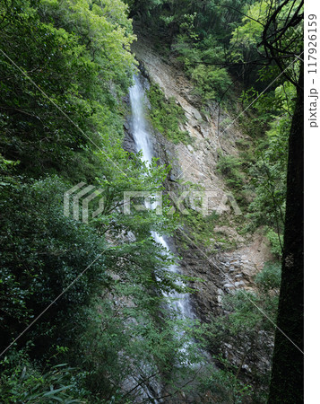 静岡県 藤枝市 宇嶺の滝 8月 静岡県 藤枝市 宇嶺の滝 8月 117926159
