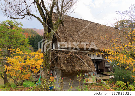 秋の岐阜県白川郷の風景 秋の岐阜県白川郷の風景 117926320