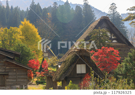 秋の岐阜県白川郷の風景 117926325