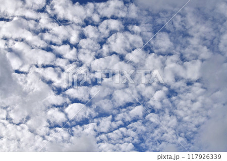 日本の横浜都市景観 夏空。猛烈な暑さが続く日本列島…低層の雲の上に無数の雲が並ぶ…=23日 日本の横浜都市景観 夏空。猛烈な暑さが続く日本列島…低層の雲の上に無数の雲が並ぶ…=23日 117926339