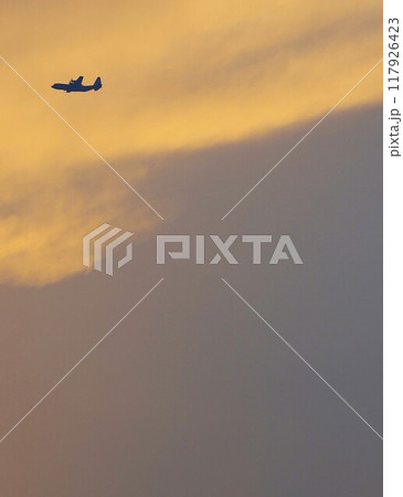 夕暮れの空を飛ぶ飛行機 117926423