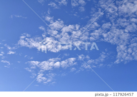 日本の横浜都市景観 夏空。猛烈な暑さが続く日本列島…無数の雲が並ぶ…=23日 日本の横浜都市景観 夏空。猛烈な暑さが続く日本列島…無数の雲が並ぶ…=23日 117926457
