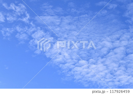 日本の横浜都市景観 夏空。猛烈な暑さが続く日本列島…無数の雲が並ぶ…=23日 日本の横浜都市景観 夏空。猛烈な暑さが続く日本列島…無数の雲が並ぶ…=23日 117926459