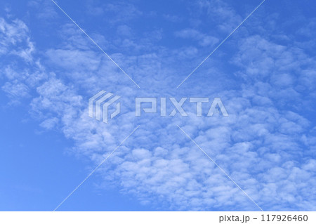 日本の横浜都市景観 夏空。猛烈な暑さが続く日本列島…無数の雲が並ぶ…＝23日 117926460