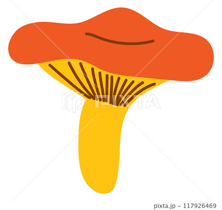 Mushroom color icon. Forest fungi. Autumn nature 117926469