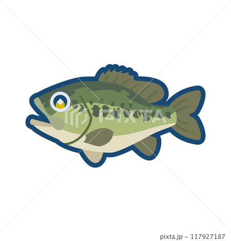 かわいいオオクチバスのイラスト 117927187