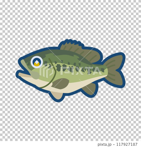 かわいいオオクチバスのイラスト 117927187