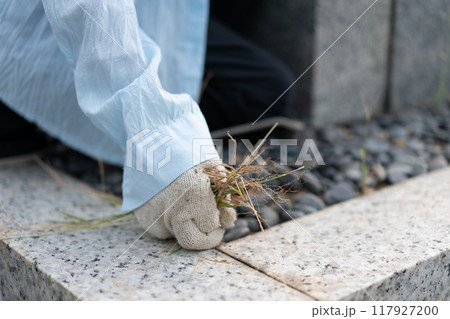お墓の草取り作業 墓掃除 お墓の草取り作業 墓掃除 117927200