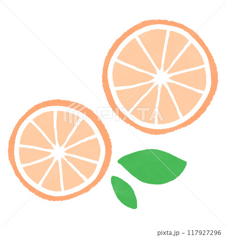 オレンジの断面のイラスト 117927296