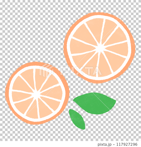 オレンジの断面のイラスト 117927296