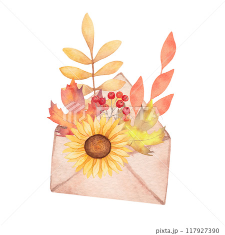 Watercolor composition of envelope with leaves, flower. Autumn element envelope, maple leaf, sunflower, rowan berries. Hand drawn isolated art. Clipart for greeting card, invitation, thanksgiving Watercolor composition of envelope with leaves, flower. Autumn element envelope, maple leaf, sunflower, rowan berries. Hand drawn isolated art. Clipart for greeting card, invitation, thanksgiving 117927390