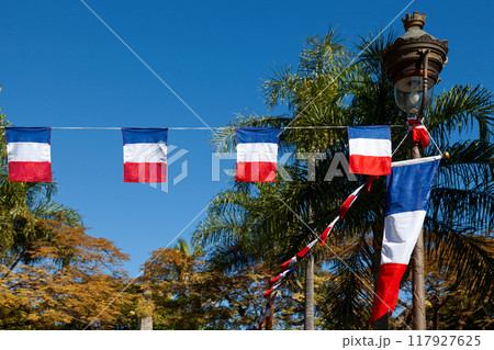 French flag bunting for Bastille day. 117927625