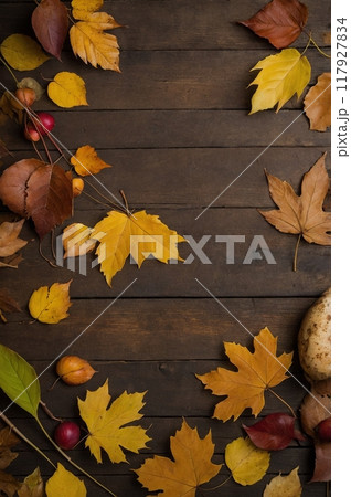 カラフルな秋色のフレーム　紅葉した葉と木目背景 117927834