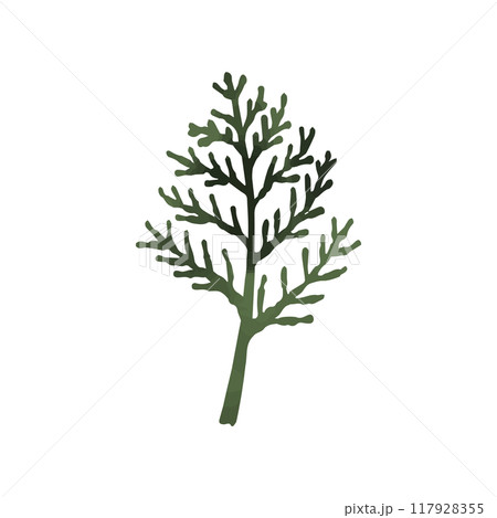 ヒバの葉 117928355