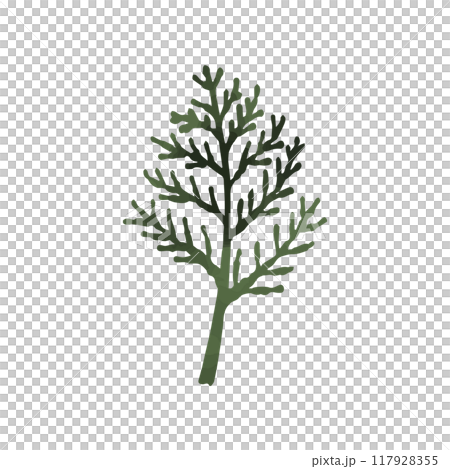 ヒバの葉 117928355