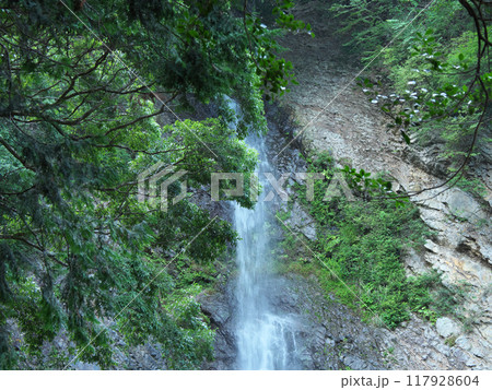 藤枝市　宇嶺の滝　8月 117928604