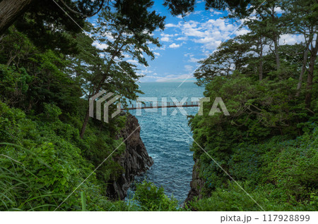 城ヶ崎海岸の吊り橋 117928899