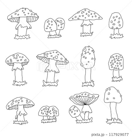 Black white doodle big set of amanita toadstool mushrooms. Cartoon outline vector fly agaric illustrations on a white background Black white doodle big set of amanita toadstool mushrooms. Cartoon outline vector fly agaric illustrations on a white background 117929077