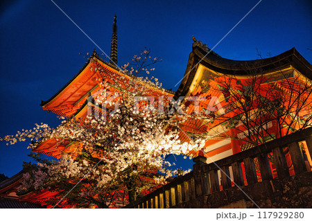 清水寺夜間特別拝観2023年桜の季節 117929280