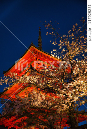 清水寺夜間特別拝観2023年桜の季節 117929281