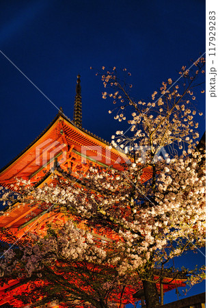 清水寺夜間特別拝観2023年桜の季節 117929283