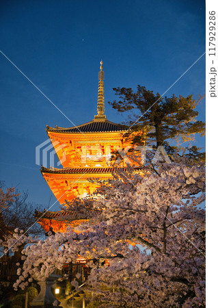 清水寺夜間特別拝観2023年桜の季節 117929286