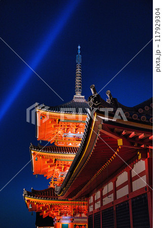 清水寺夜間特別拝観2023年桜の季節 清水寺夜間特別拝観2023年桜の季節 117929304