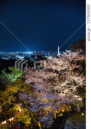 清水寺夜間特別拝観2023年桜の季節 清水寺夜間特別拝観2023年桜の季節 117929305