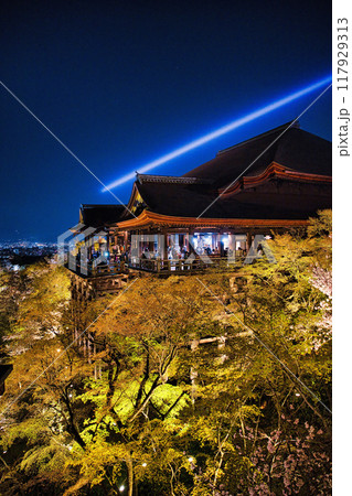 清水寺夜間特別拝観2023年桜の季節 117929313