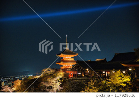 清水寺夜間特別拝観2023年桜の季節 117929316