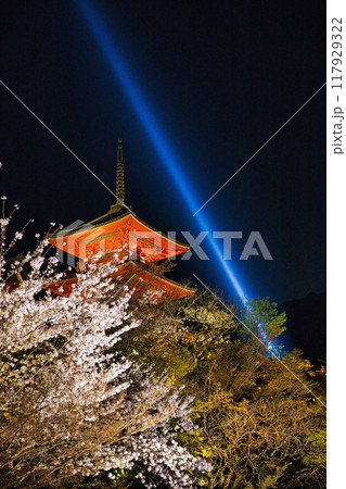 清水寺夜間特別拝観2023年桜の季節 117929322