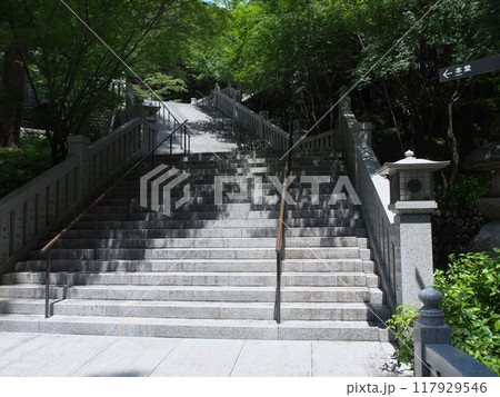 静岡県　袋井市　法多山　尊永寺　8月　参道 117929546
