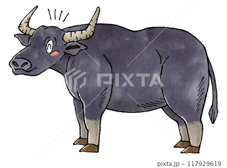 喜ぶ水牛 117929619
