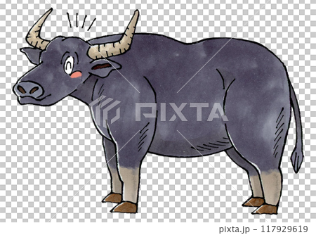 喜ぶ水牛 117929619