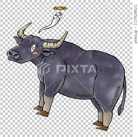 Dead buffalo Dead buffalo 117929621