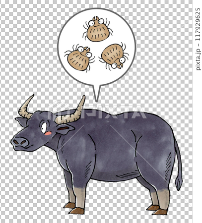 Buffalo and ticks 117929625