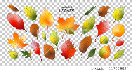 Set of isolated leaves. Cute Autumn foliage illustration in hand drawn style. Orange, yellow, red, brown and green colors on transparent background. Set of isolated leaves. Cute Autumn foliage illustration in hand drawn style. Orange, yellow, red, brown and green colors on transparent background. 117929924