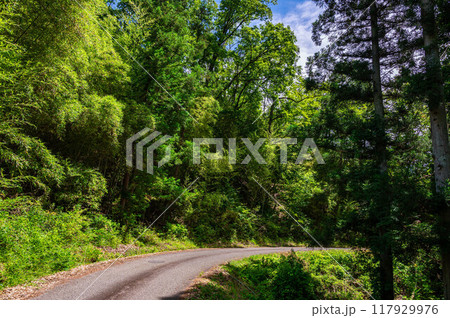 善光寺街道 切り通し 善光寺街道 切り通し 117929976