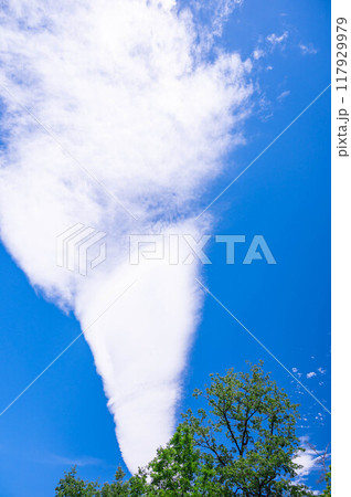 夏の木と竜巻みたいな雲 夏の木と竜巻みたいな雲 117929979