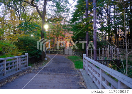 秋の公園と紅葉の風景 117930027