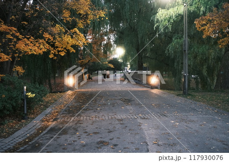 秋の公園と紅葉の風景 秋の公園と紅葉の風景 117930076