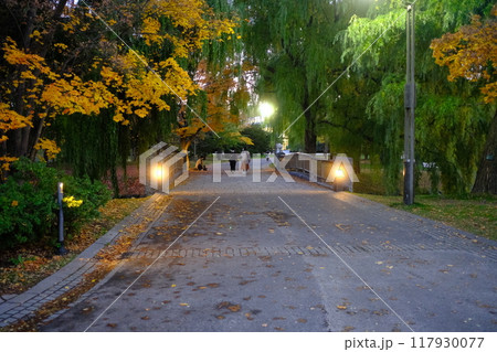 秋の公園と紅葉の風景 秋の公園と紅葉の風景 117930077
