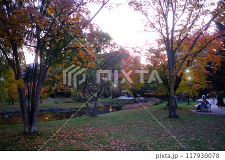 秋の公園と紅葉の風景 117930078