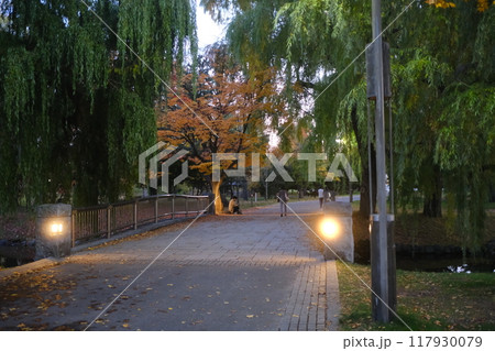 秋の公園と紅葉の風景 秋の公園と紅葉の風景 117930079